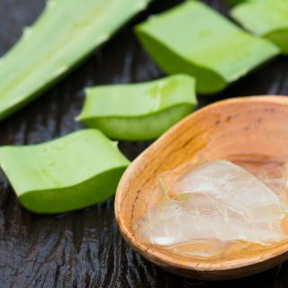 Aloe Vera 